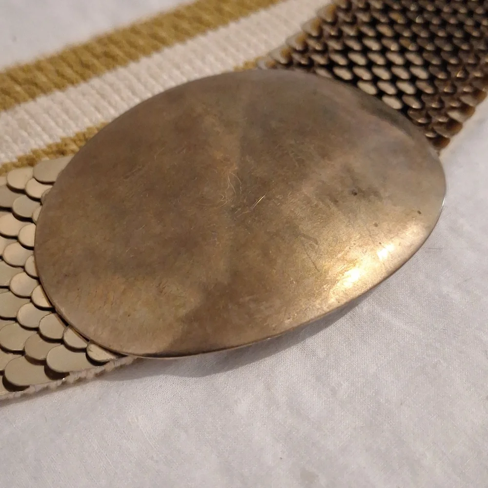 Vintage Gold Scale Stretch Belt with Oval Buckle